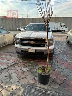 شيفروليه سلفرادو